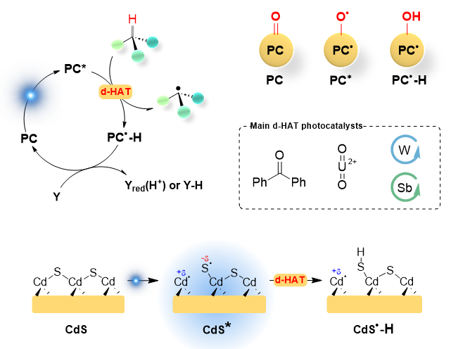 九洲药业获得发明专利授权：“一种镍催化的Hirao反应构建C-P键的方法”