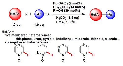 九洲药业获得发明专利授权：“一种镍催化的Hirao反应构建C-P键的方法”