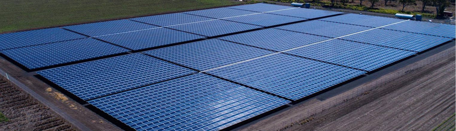 泽润新能：公司已在美国设立子公司