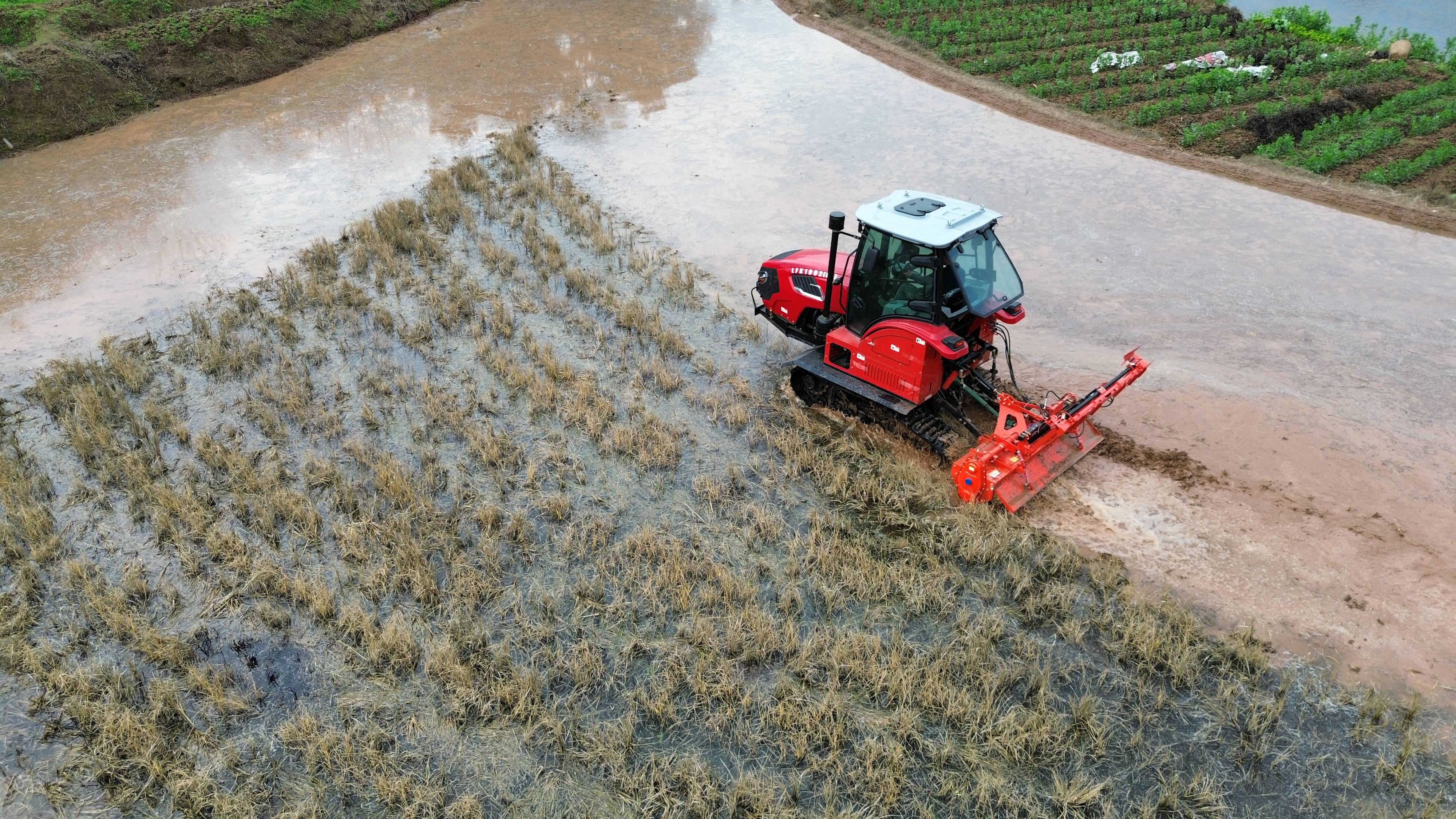 新春走基层 · 一线直击丨机器人成为育种“新农人”