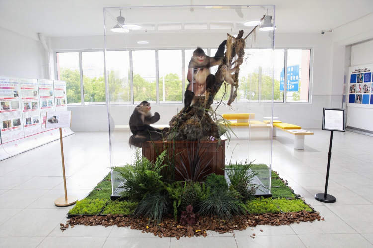 以科技之钥打开新年：上海科技馆启动试运行