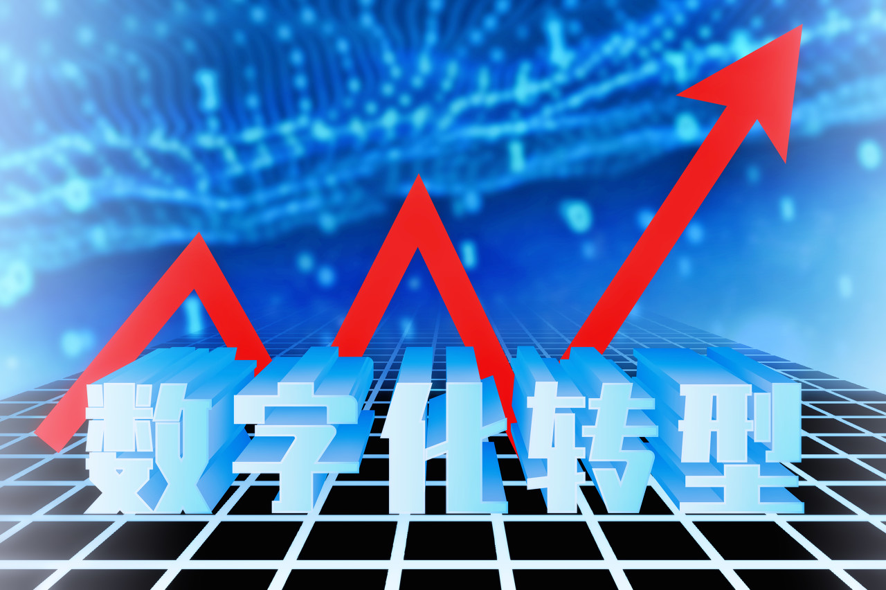 沙迦推进数字化转型合作