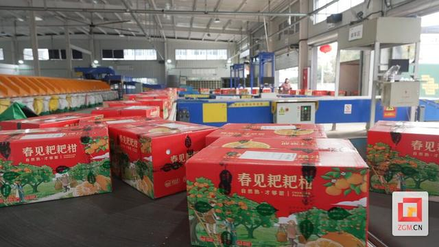 “医药健康+金融资本”双轮驱动 吉林敖东打造守正创新标杆