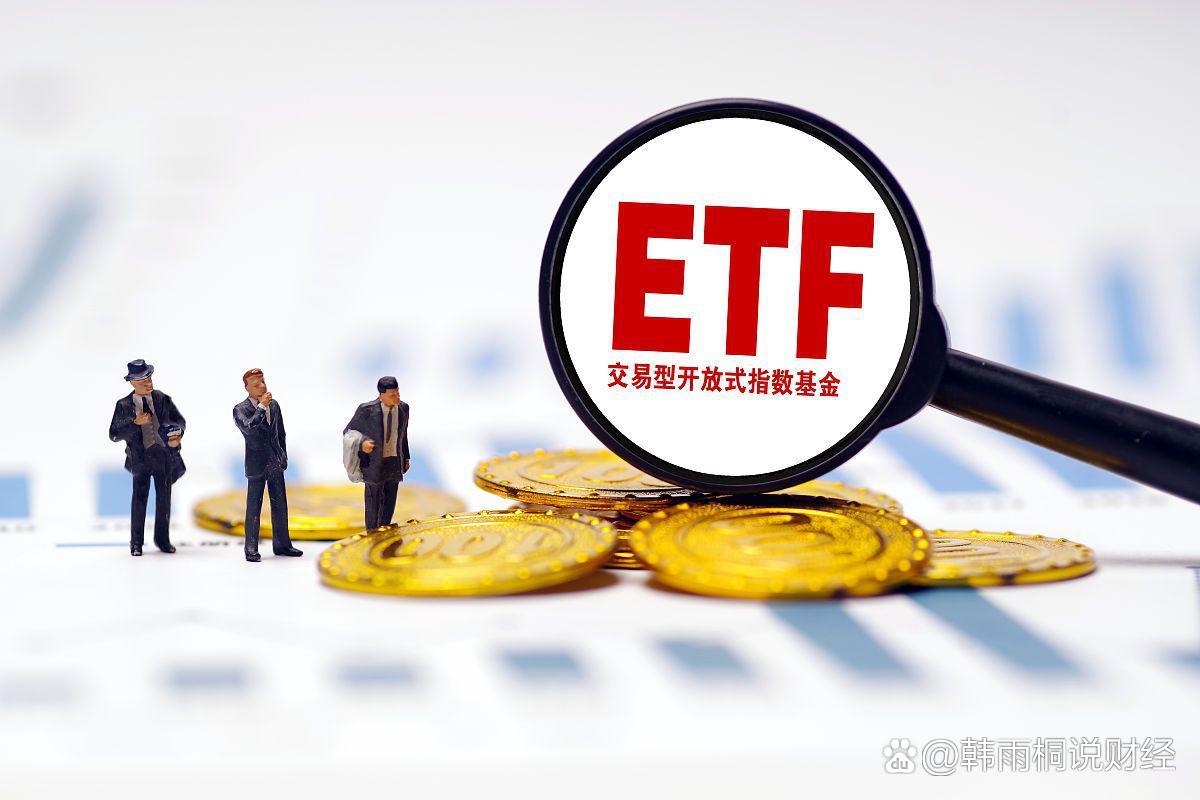 310只ETF获融资净买入 博时中证可转债及可交换债券ETF居首