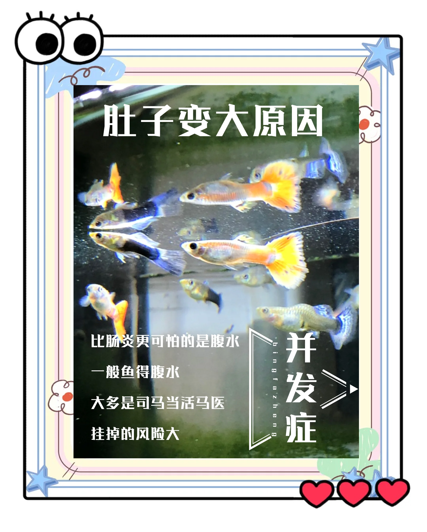 长期海洋变暖致鱼类生物量显著下降