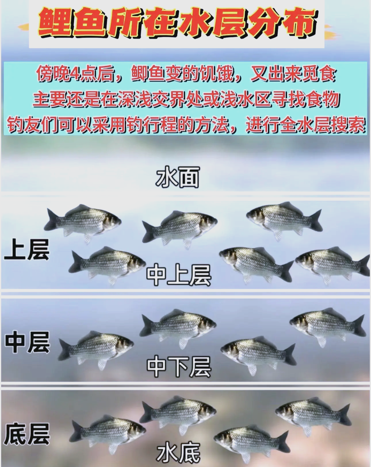 长期海洋变暖致鱼类生物量显著下降