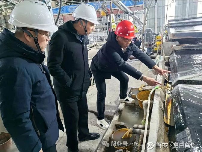 拓新药业(301089.SZ)：子公司取得NSF 173 GMP DI认证