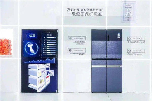 海尔智家获得实用新型专利授权：“制冷动力装置以及冰箱”