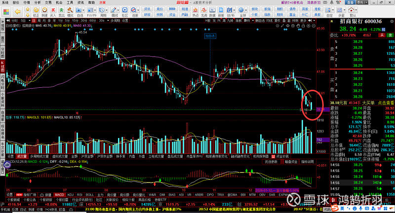 费用高企“吞噬”利润，高途减亏七成难过盈利关，线下“狂奔”藏风险