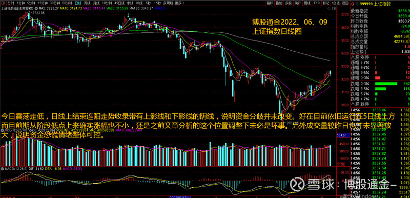 中邮保险举牌四川路桥；银行板块集体反弹 | 金融早参