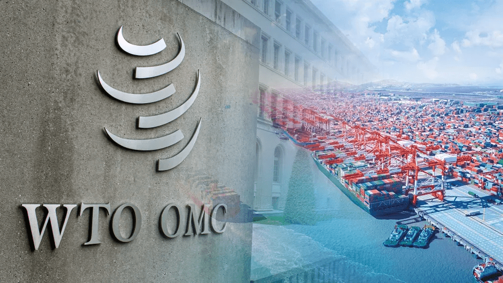 董事会名校博士云集，希磁科技弃A转港，9个月净利暴涨530.7%