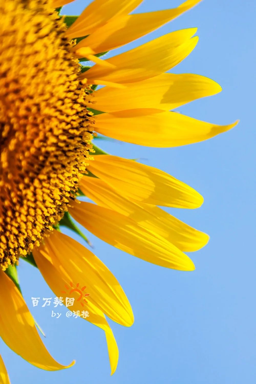 创投又一个春天，来了！