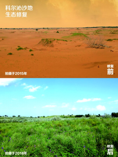 蒙草生态获得实用新型专利授权：“一种用于沙地飞播种子锥制作的装置”