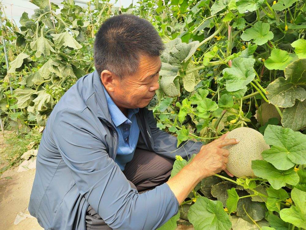 牧原股份成功发行5亿元绿色科创债 助力乡村振兴