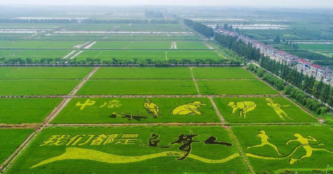 牧原股份成功发行5亿元绿色科创债 助力乡村振兴