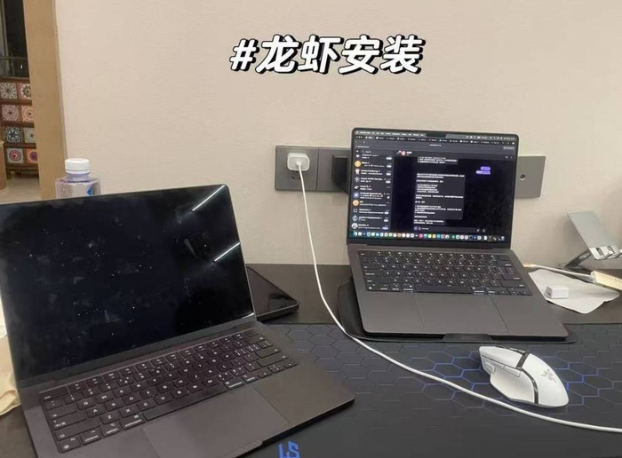 风口之上：“养龙虾”的热闹与隐忧