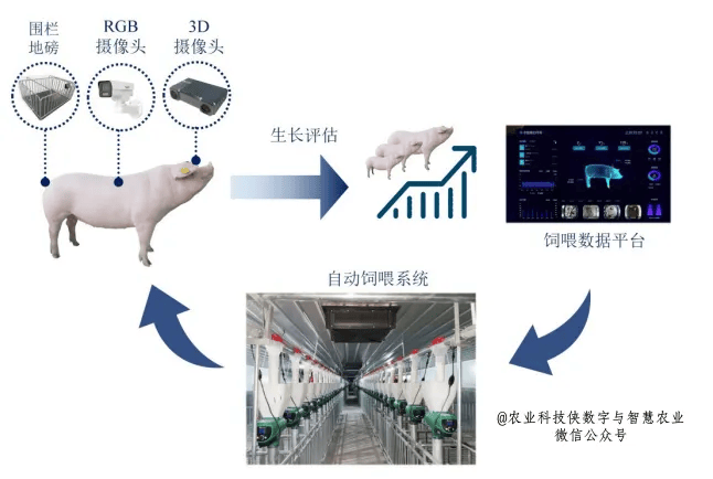 波黑青年生成式人工智能使用率超欧盟平均水平