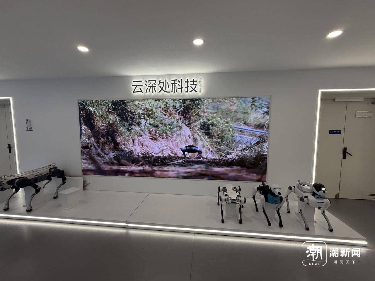 云深处科技申请多枚“DEEPCare”商标