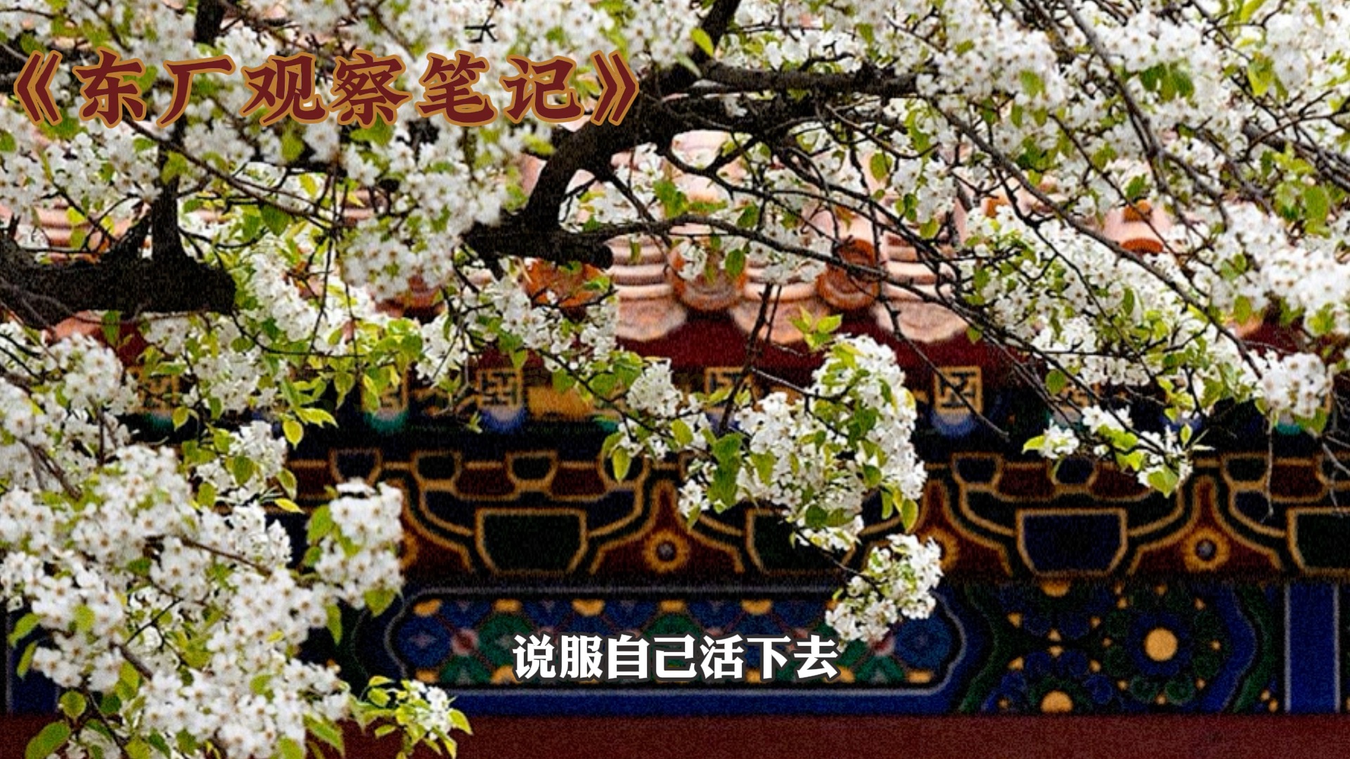 斑马百科发布新书《天文观察笔记》 打造少儿科普“多媒介融合”新样本