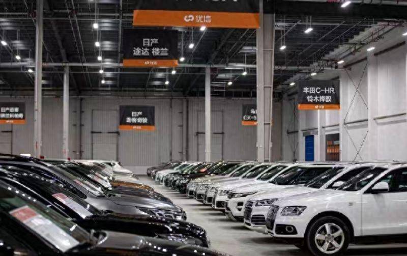 一大批新工厂来袭 宠物产业洗牌加速