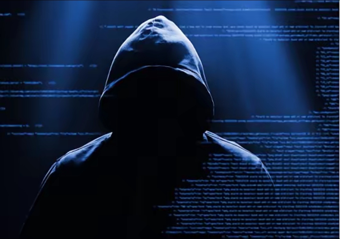 鹭燕医药：公司严格遵守信息披露要求，无应披露未披露的重大信息