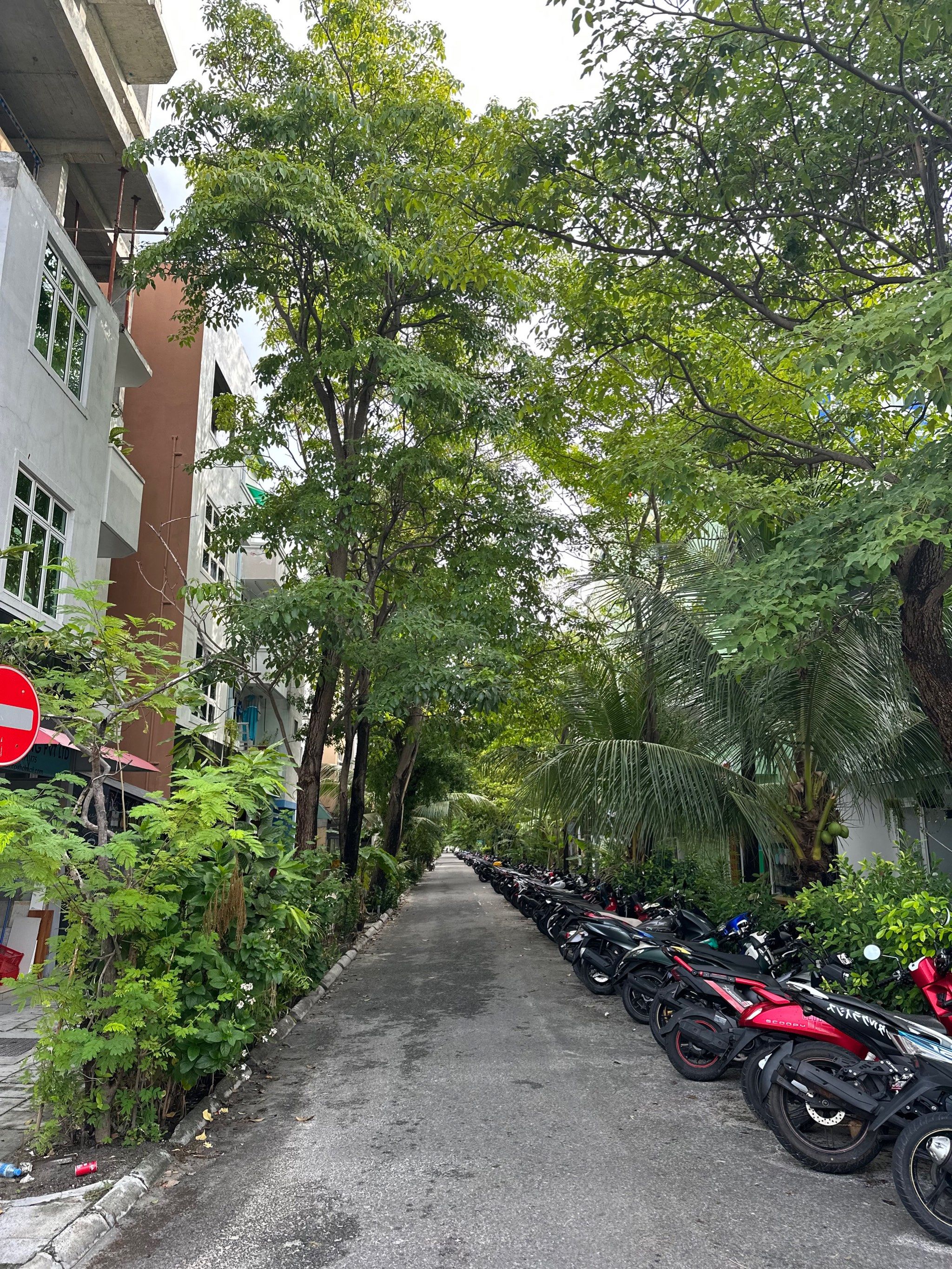 马尔代夫已偿还超8430万美元贷款