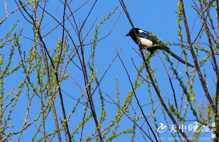 立方风控鸟·晚报（3月24日）