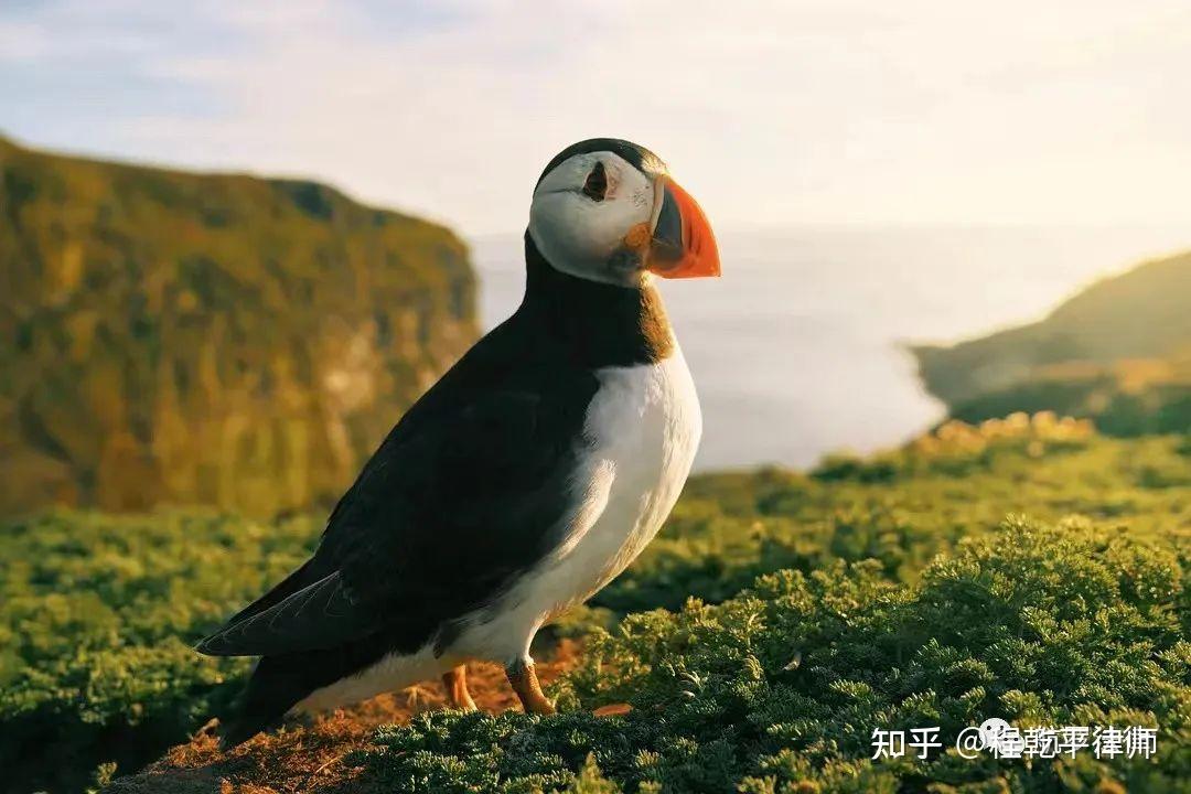 立方风控鸟·晚报（3月24日）