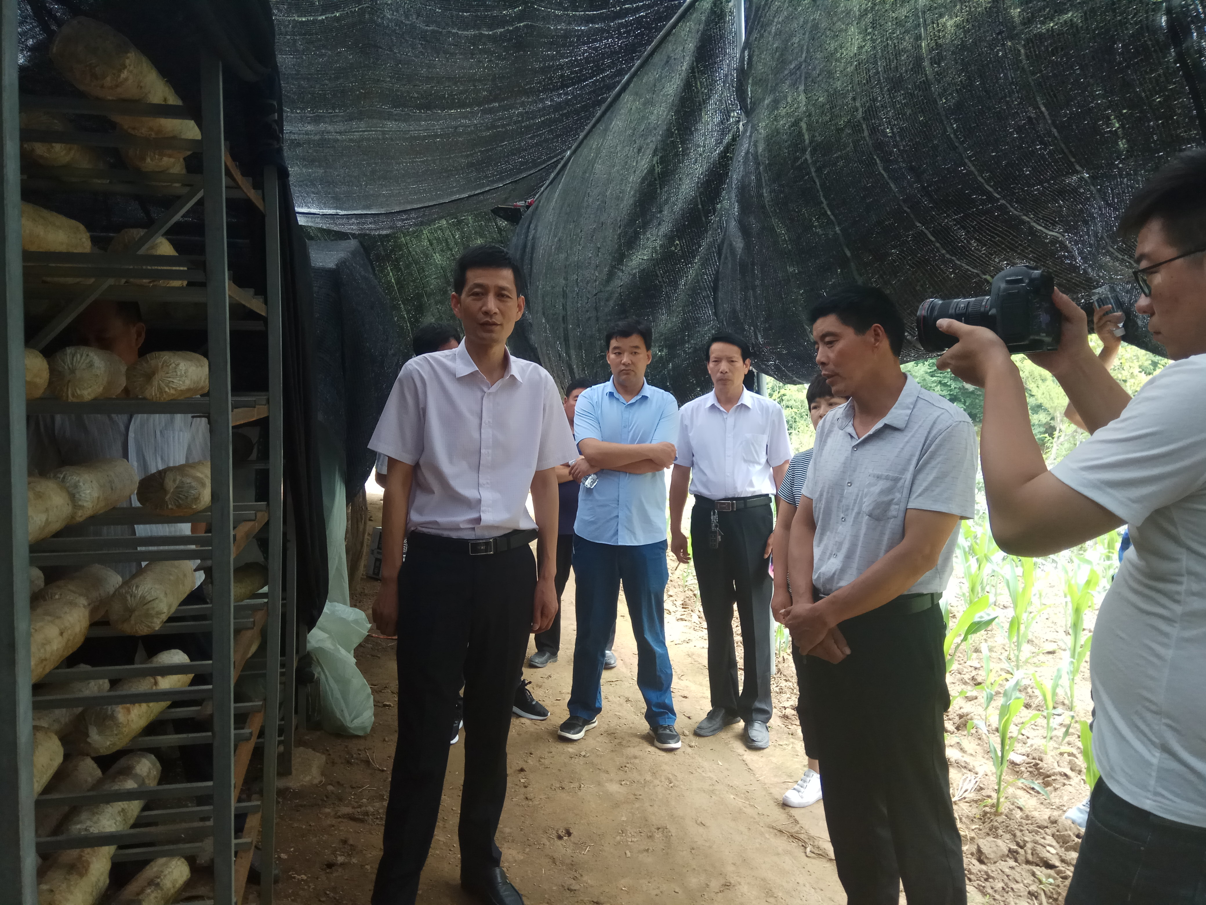 600358，申请“摘帽”！