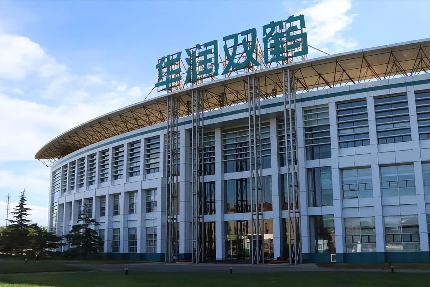 双鹭药业录得4天3板